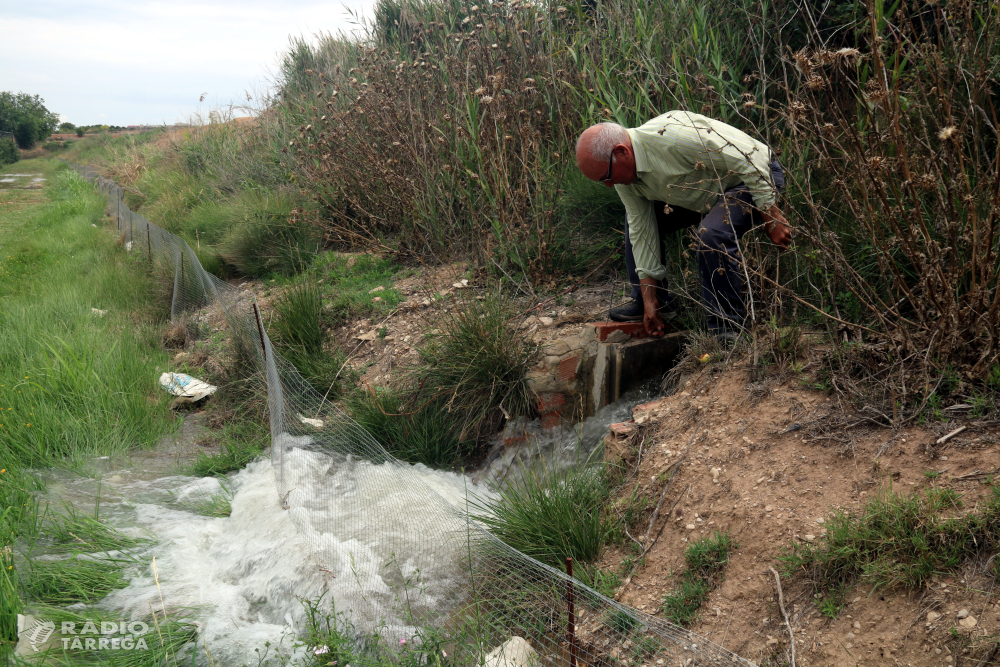 El canal d'Urgell fixa un nou torn de reg d'arbres del 10 al 19 d'agost