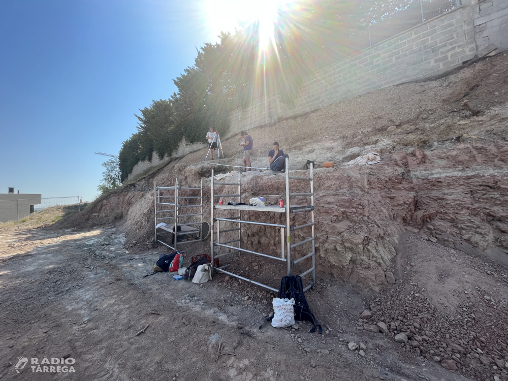 Localitzades noves restes òssies de la necròpolis medieval jueva de les Roquetes a Tàrrega