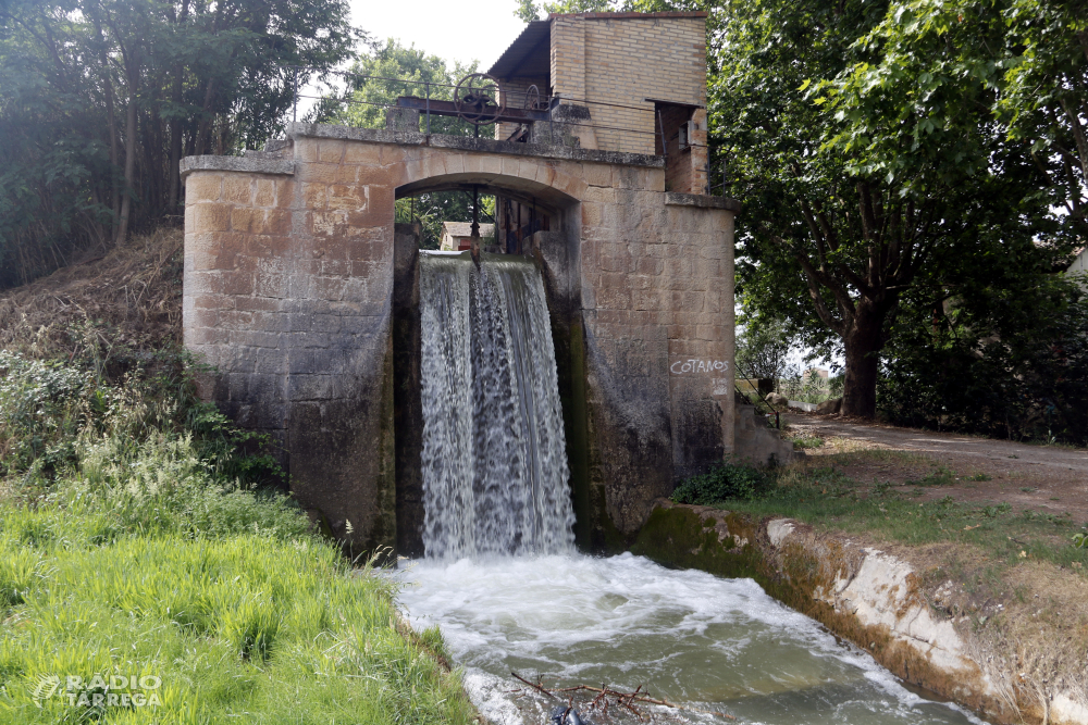 La campanya del canal d'Urgell finalitzarà el 23 de setembre