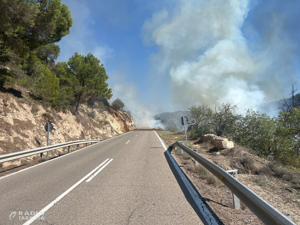 Un incendi a Guimerà crema 1,5h de vegetació