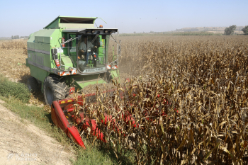 JARC i la FCAC reclamen al Govern que l'ajut per sequera en cereals es concedeixi segons la superfície total afectada