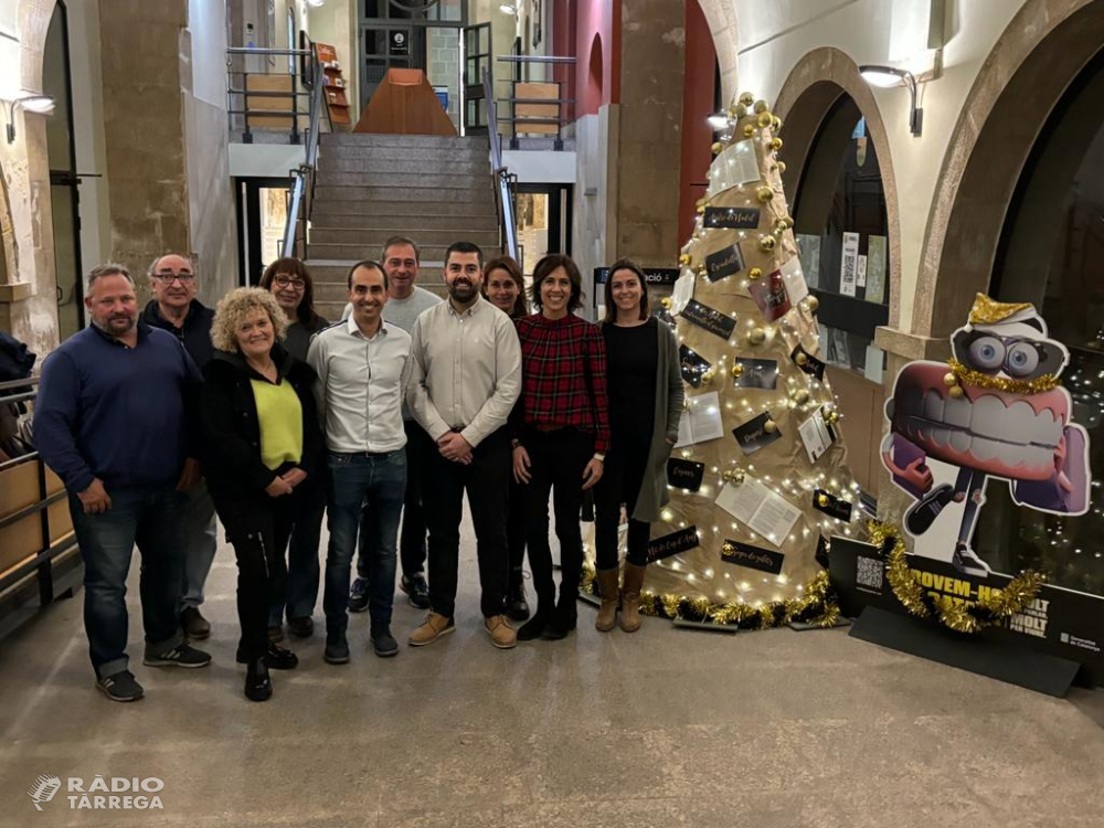 L’arbre de Nadal del Consell Comarcal, engalanat amb vocabulari i frases fetes nadalenques