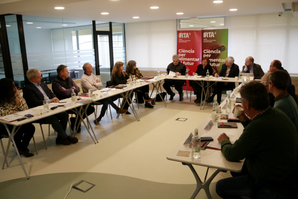 L'IRTA desenvolupa un simulador en temps real per ajudar els regants a planificar millor els conreus en sequera