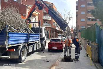 L’Ajuntament de Tàrrega planta un centenar de nous arbres als carrers del Canal d’Urgell i Betlem