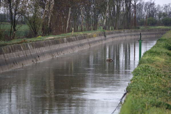 Regants critiquen la gestió del canal d'Urgell i diuen que el sistema de repartiment equitatiu de l'aigua no es compleix
