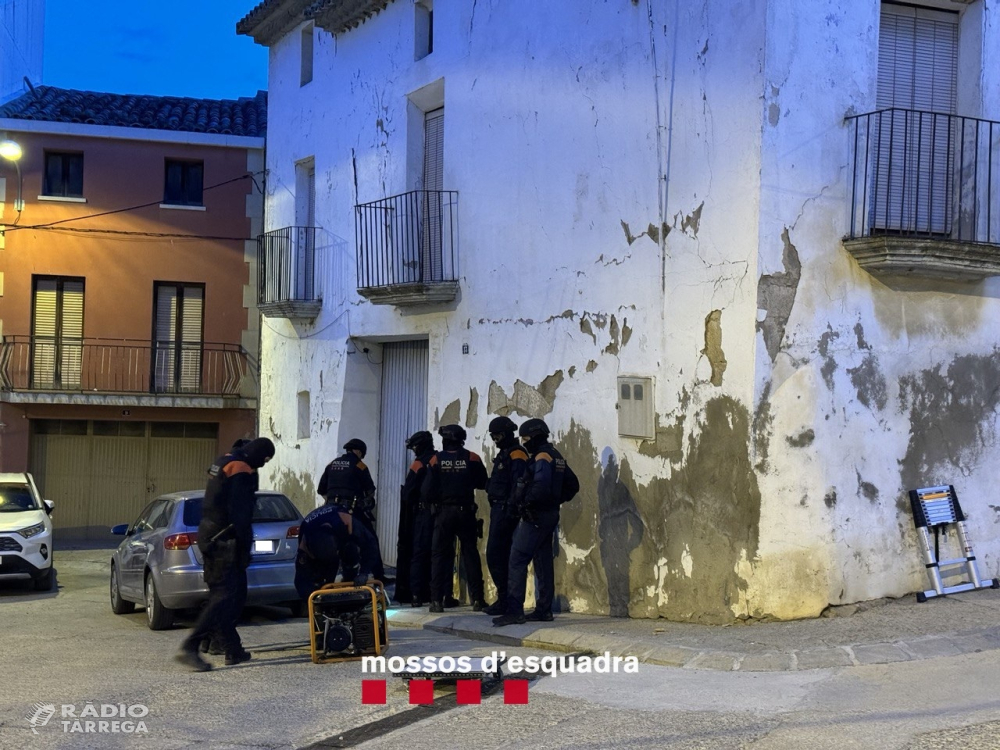 Els Mossos d’Esquadra detenen quatre persones per cultiu de marihuana a les comarques del Segrià, Noguera i Urgell