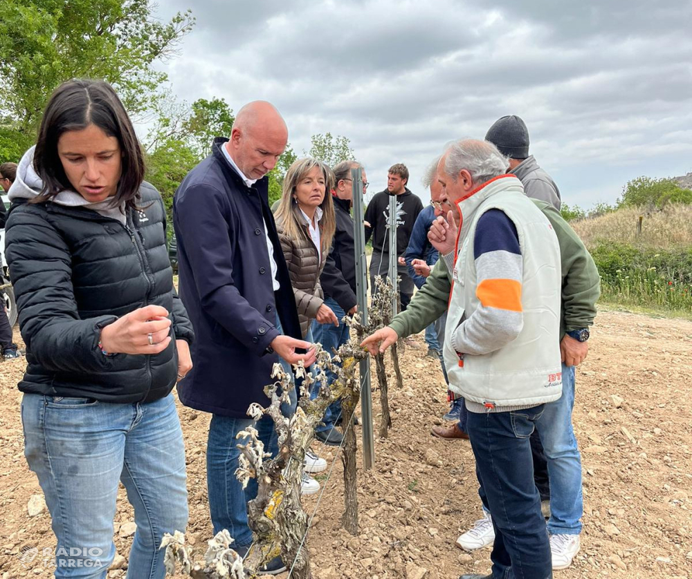 El conseller David Mascort ha visitat aquest matí les finques afectades per les gelades a la Vall del Corb