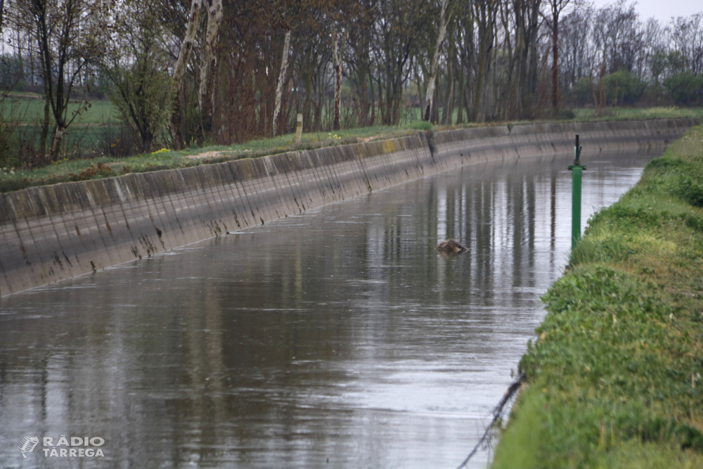 Troben una dona morta al canal d'Urgell a Anglesola