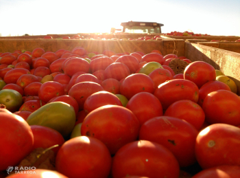 Benvinguts a Pagès La Festa arriba a la plana de Lleida l’1 i 2 de juny, coincidint amb la temporada del sector fructícola i hortícola