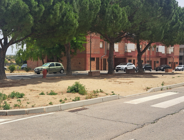 La Federació de Veïns de Tàrrega (FAVT) demana que s’inclogui la remodelació de la rambla del Canalet als pressupostos participatius