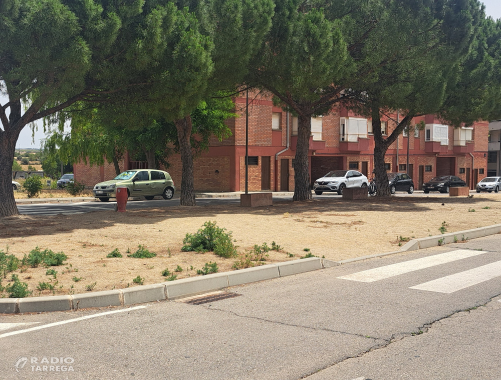 La Federació de Veïns de Tàrrega (FAVT) demana que s’inclogui la remodelació de la rambla del Canalet als pressupostos participatius