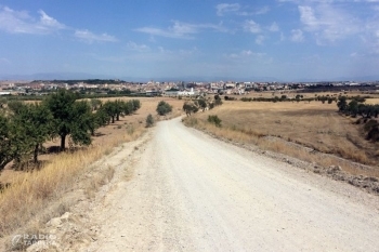 L’Ajuntament de Tàrrega adjudica els treballs per arranjar el Camí de Verdú al seu pas pel terme municipal