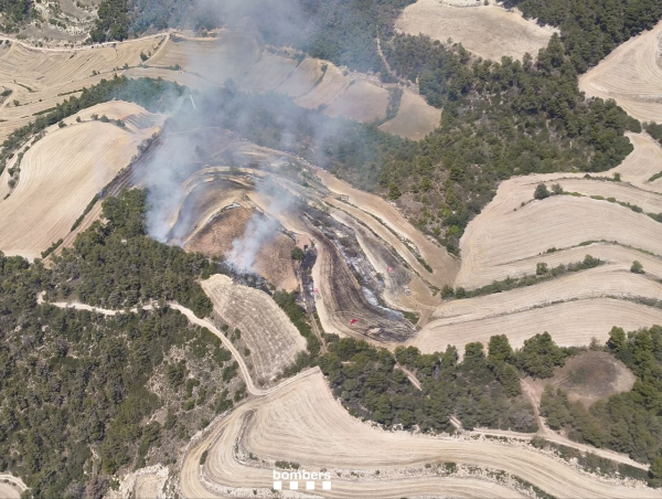 Incendi de vegetació agrícola i forestal entre Vallbona de les Monges i Rocallaura