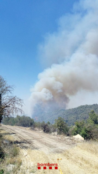 Una setantena de dotacions de Bombers treballen en l'extinció d'un incendi de vegetació a Ciutadilla