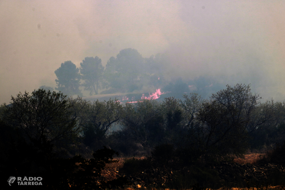 Els Bombers confien en estabilitzar en les pròximes hores l'incendi de Ciutadilla, que ha afectat més de 200 hectàrees