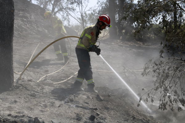 Extingit l'incendi de Ciutadilla, que ha afectat 273 hectàrees