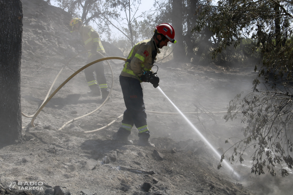 Extingit l'incendi de Ciutadilla, que ha afectat 273 hectàrees