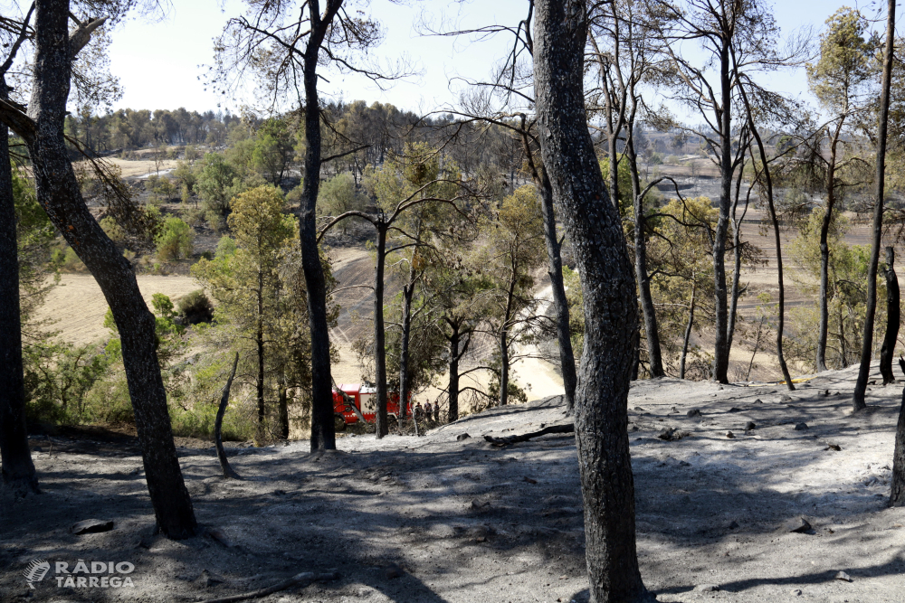 Revifa l'incendi de Ciutadilla que els Bombers van donar per extingit dijous