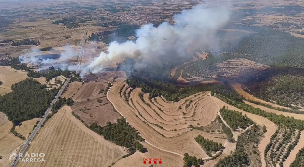 Estabilitzat l'incendi de Ciutadilla, que ha revifat aquest diumenge