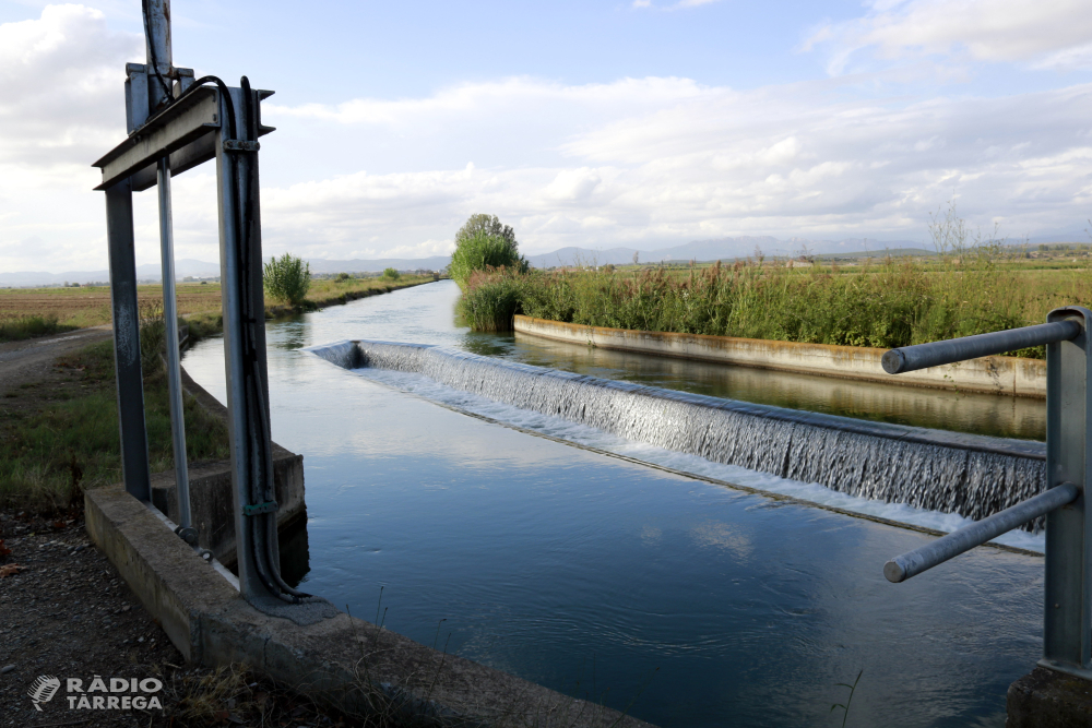 Els canals d'Urgell i Segarra-Garrigues encaren el final de la campanya de reg amb millors perspectives