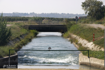 El canal d’Urgell tanca campanya amb un 32% menys d’aportacions del Segre però havent assegurat el reg