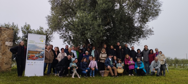 Un centenar de persones participen a l’activitat ‘L’Urgell, un passeig entre oliveres’