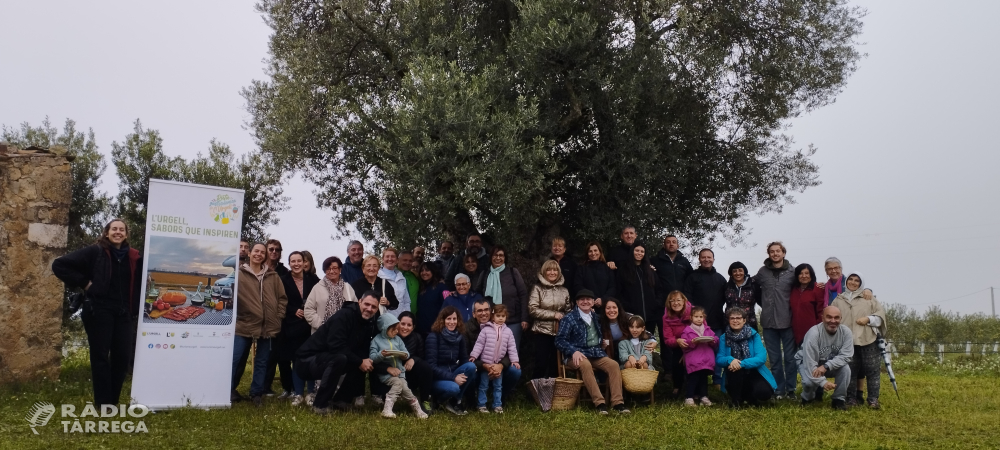 Un centenar de persones participen a l’activitat ‘L’Urgell, un passeig entre oliveres’