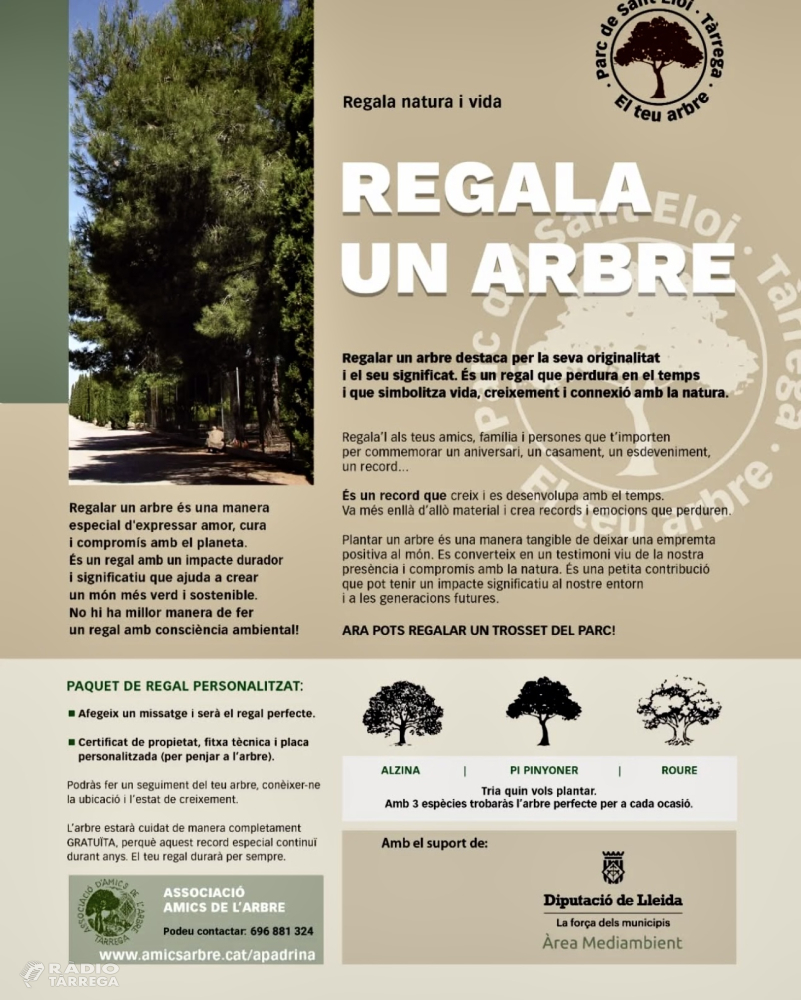 L’Associació dels Amics de l’Arbre promou la iniciativa ‘Regala un arbre’ per fomentar la sostenibilitat