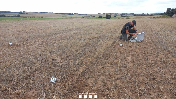 Els Agents Rurals fan una trentena d'inspeccions relacionades amb l'ús il·lícit de detectors de metalls al medi natural
