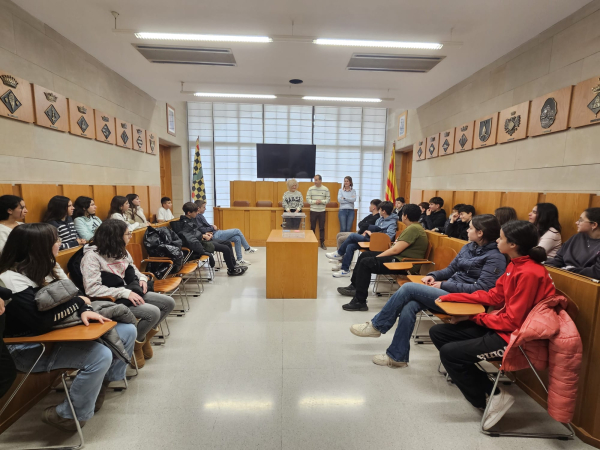 Activitat de la iniciativa 'Consell Jove: Aprenent Democràcia'