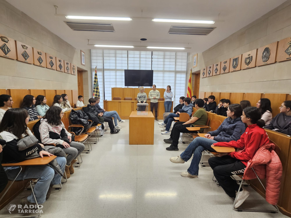 Activitat de la iniciativa 'Consell Jove: Aprenent Democràcia'