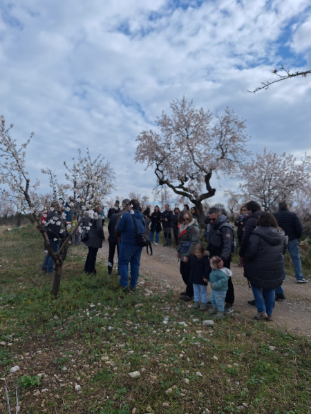 Èxit de la primera jornada de 'L'Urgell, un passeig entre ametllers i cellers'
