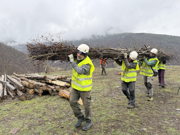 Entitats de Ponent denuncien manca de gestió forestal i demanen reobrir el GRAF de Lleida, tancat des del 2024
