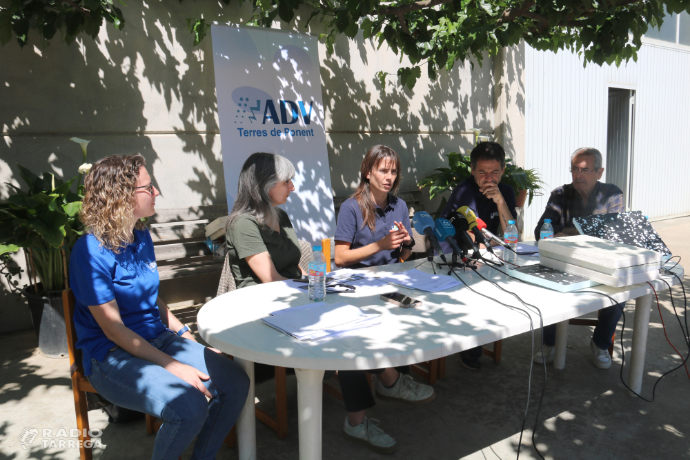 Un informe d'ADV Terres de Ponent constata que la mida de les pedres de la pedregada del 19 d'abril és excepcional