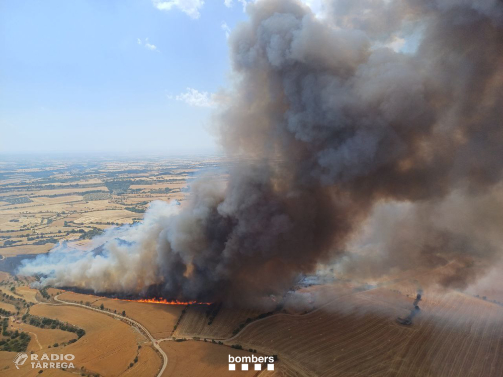ACTUALITZACIÓ - L'incendi de Granyena de Segarra continua actiu i ja afecta unes 400 hectàrees agrícoles