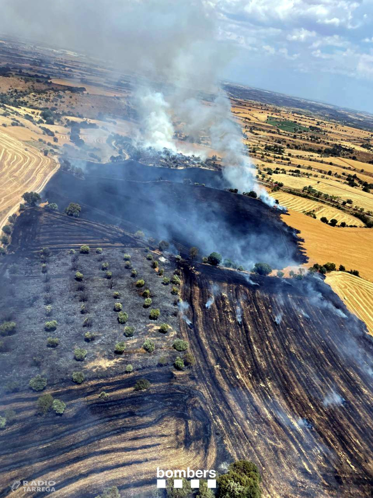 Els Bombers ordenen confinar Cervera per l’incendi de la Segarra i tallen l'autovia A-2 entre Tàrrega i la capital de la Segarra