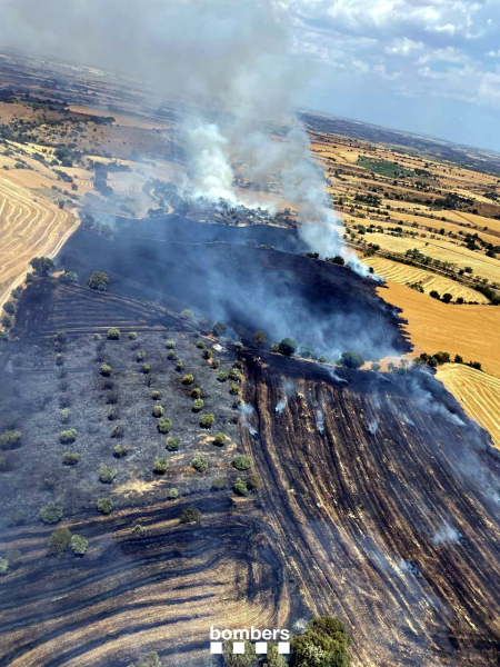 Els Bombers ordenen confinar Cervera per l’incendi de la Segarra i tallen l'autovia A-2 entre Tàrrega i la capital de la Segarra