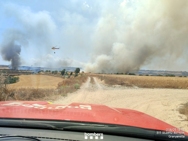 Els Bombers donen per estabilitzat l’incendi de la Segarra, que ha afectat 445 hectàrees