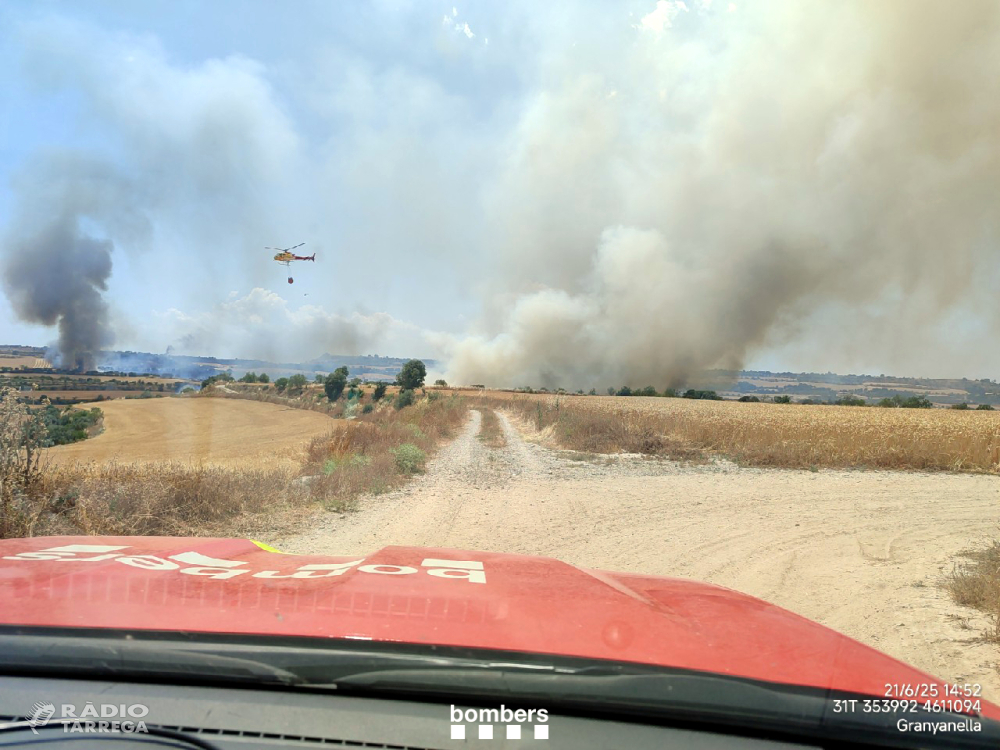 Els Bombers donen per estabilitzat l’incendi de la Segarra, que ha afectat 445 hectàrees