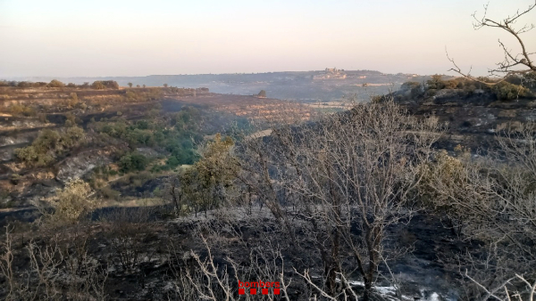 Controlat l'incendi agrícola de la Segarra, que ha afectat unes 473 hectàrees