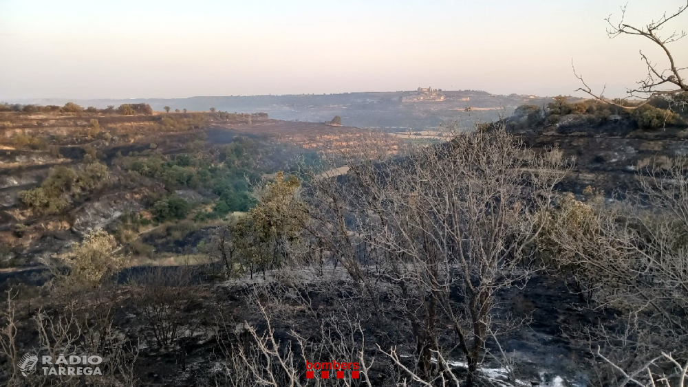 Controlat l'incendi agrícola de la Segarra, que ha afectat unes 473 hectàrees