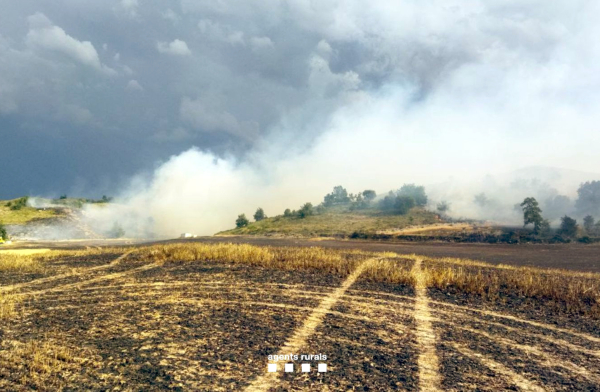 Controlats els incendis de Plandogau, Granyena de Segarra i Pinell de Solsonès
