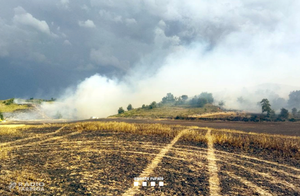 Controlats els incendis de Plandogau, Granyena de Segarra i Pinell de Solsonès