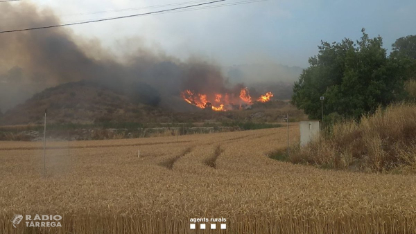 L'àrea afectada per l'incendi de Torrefeta arriba a les 6.500 hectàrees i els Bombers descarten més víctimes mortals