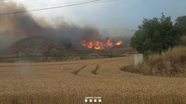 L'àrea afectada per l'incendi de Torrefeta arriba a les 6.500 hectàrees i els Bombers descarten més víctimes mortals