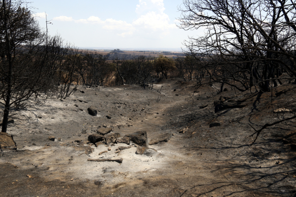 Els Bombers donen per controlat l'incendi de Torreta i Florejacs