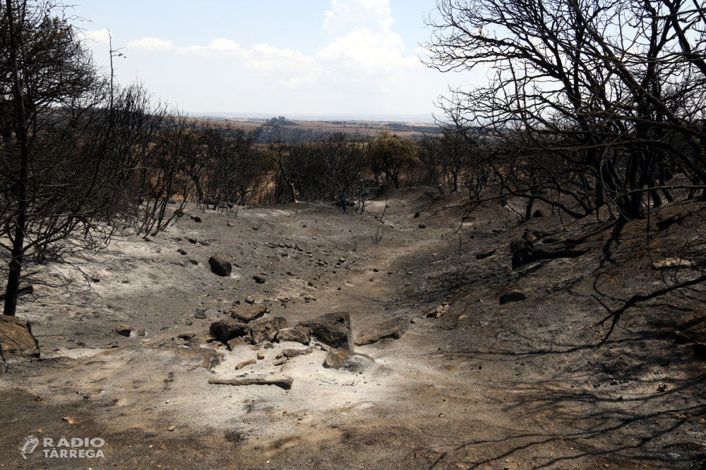 Els Bombers donen per controlat l'incendi de Torreta i Florejacs