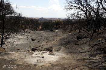 Els Bombers donen per controlat l'incendi de Torreta i Florejacs