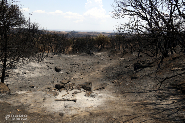 Els Bombers donen per controlat l'incendi de Torreta i Florejacs