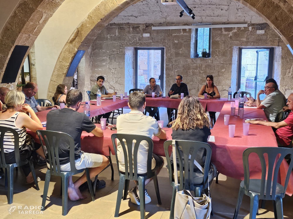 Els ajuntaments de l’Urgell exigeixen mesures urgents per posar fi als microtalls elèctrics i reclamen una reunió institucional immediata